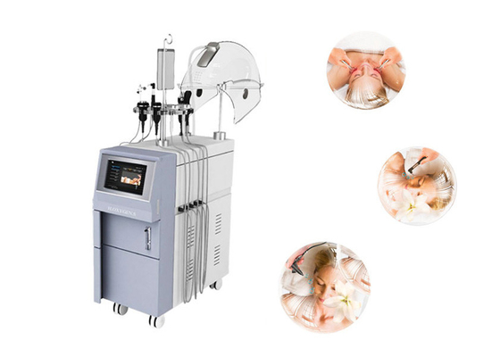 RF Oxygen Facial Machine , Multifunctional Oxygen Beauty Machine