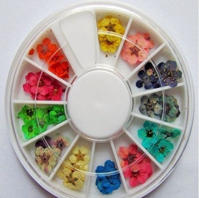 Dried Flowers Dry Acrylic Nail Art Decorations Design