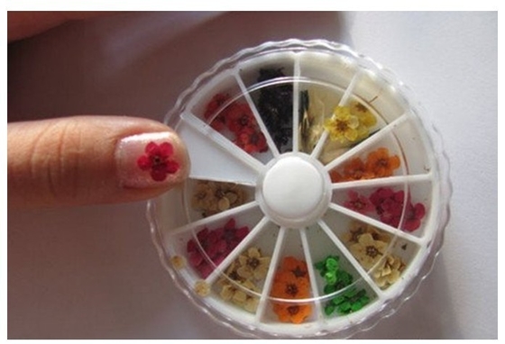 Dried Flowers Dry Acrylic Nail Art Decorations Design